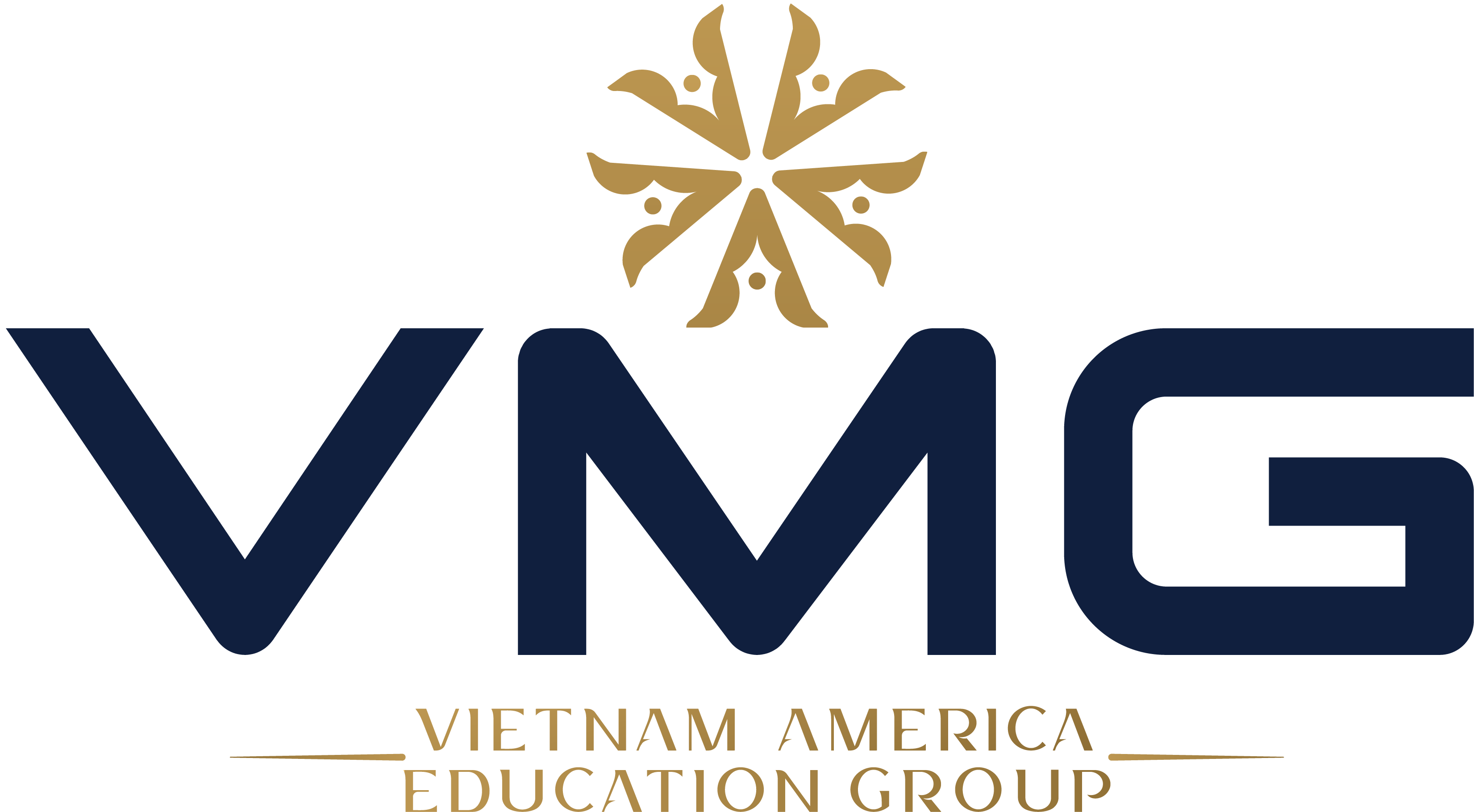 Tập đoàn giáo dục Việt Mỹ